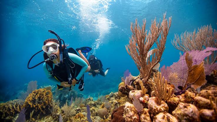 Langkawi Adventure Image 26